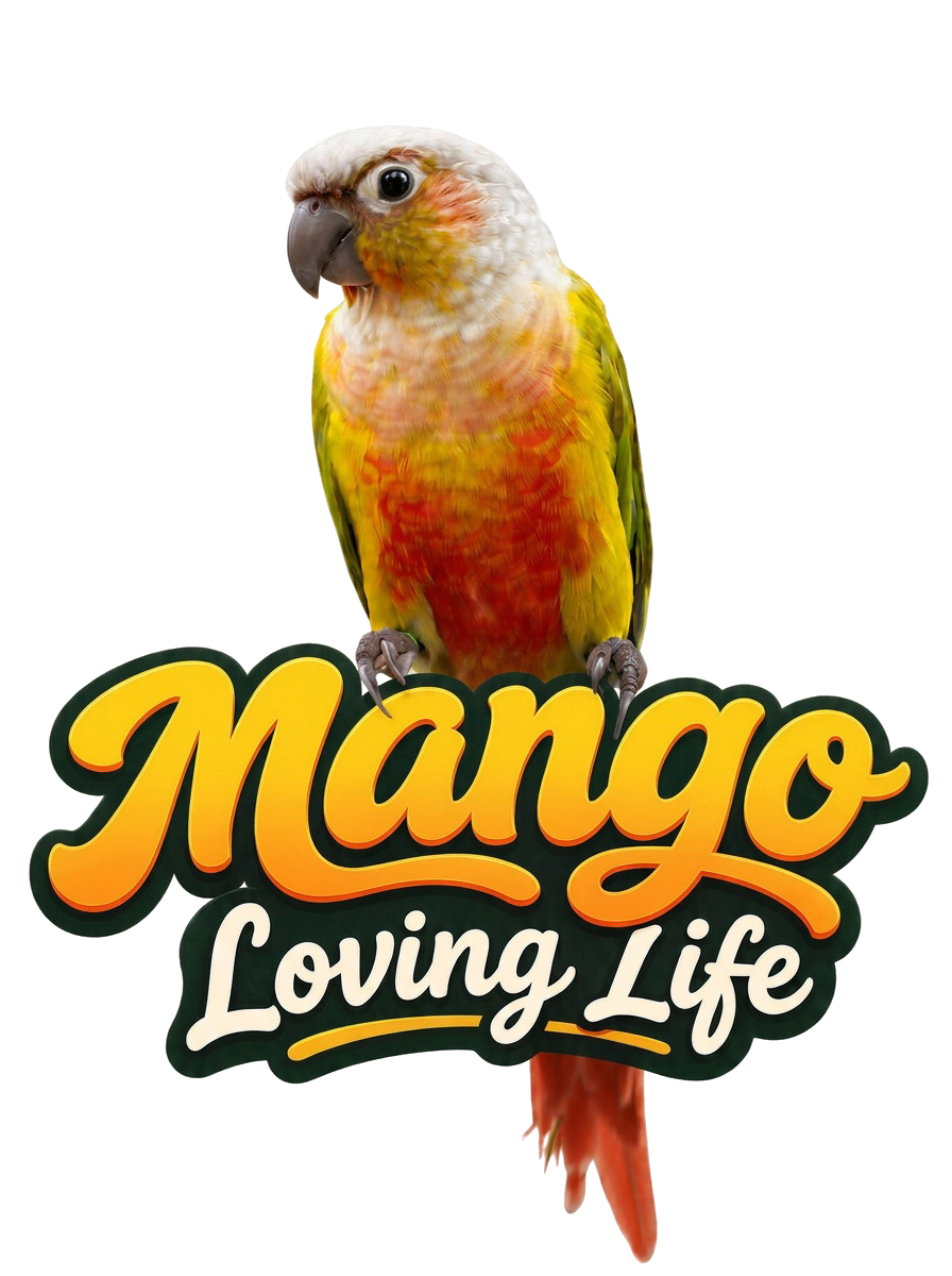 Meet Mango — The Most Viewed Bird Online