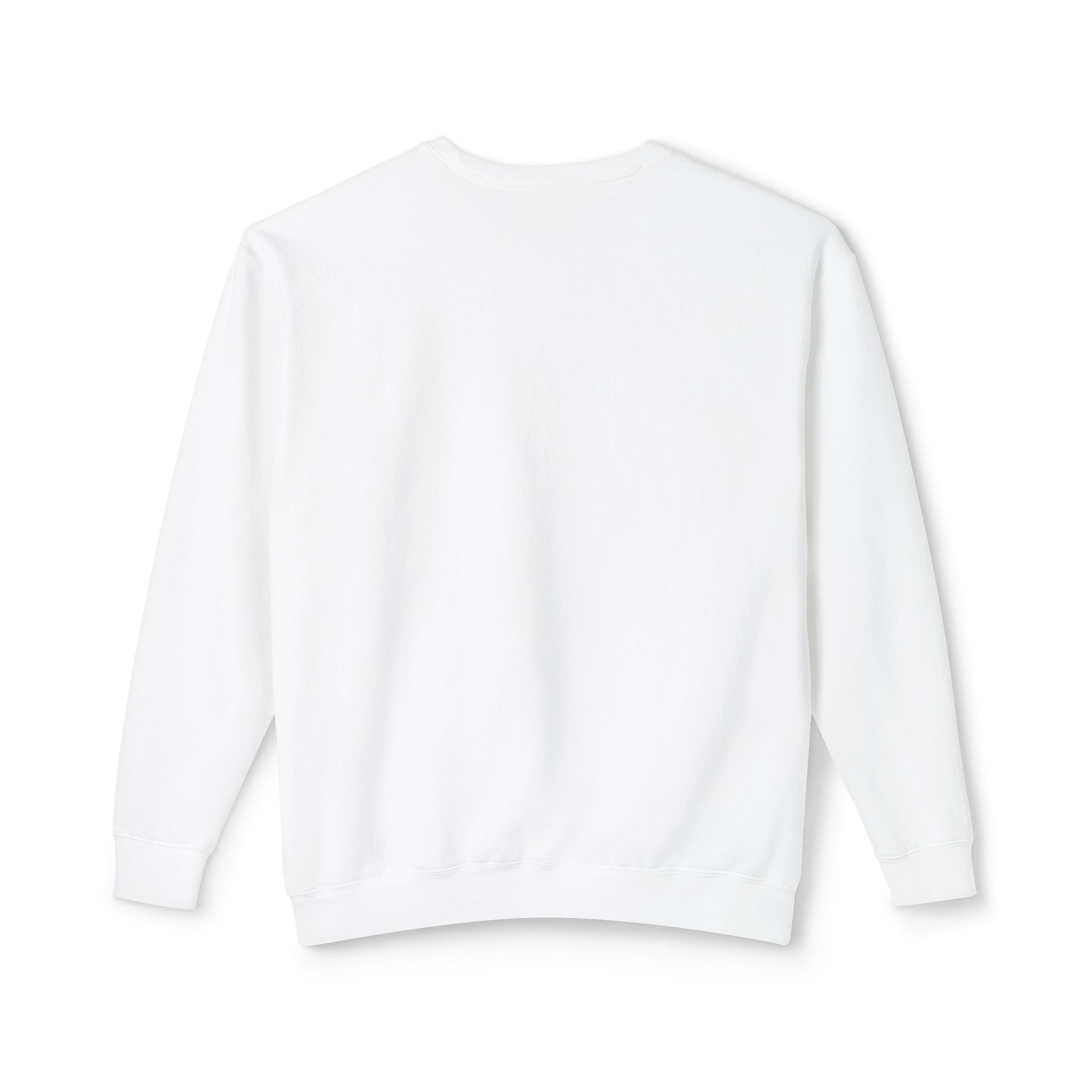 Parrot Illustration Crewneck Sweatshirt