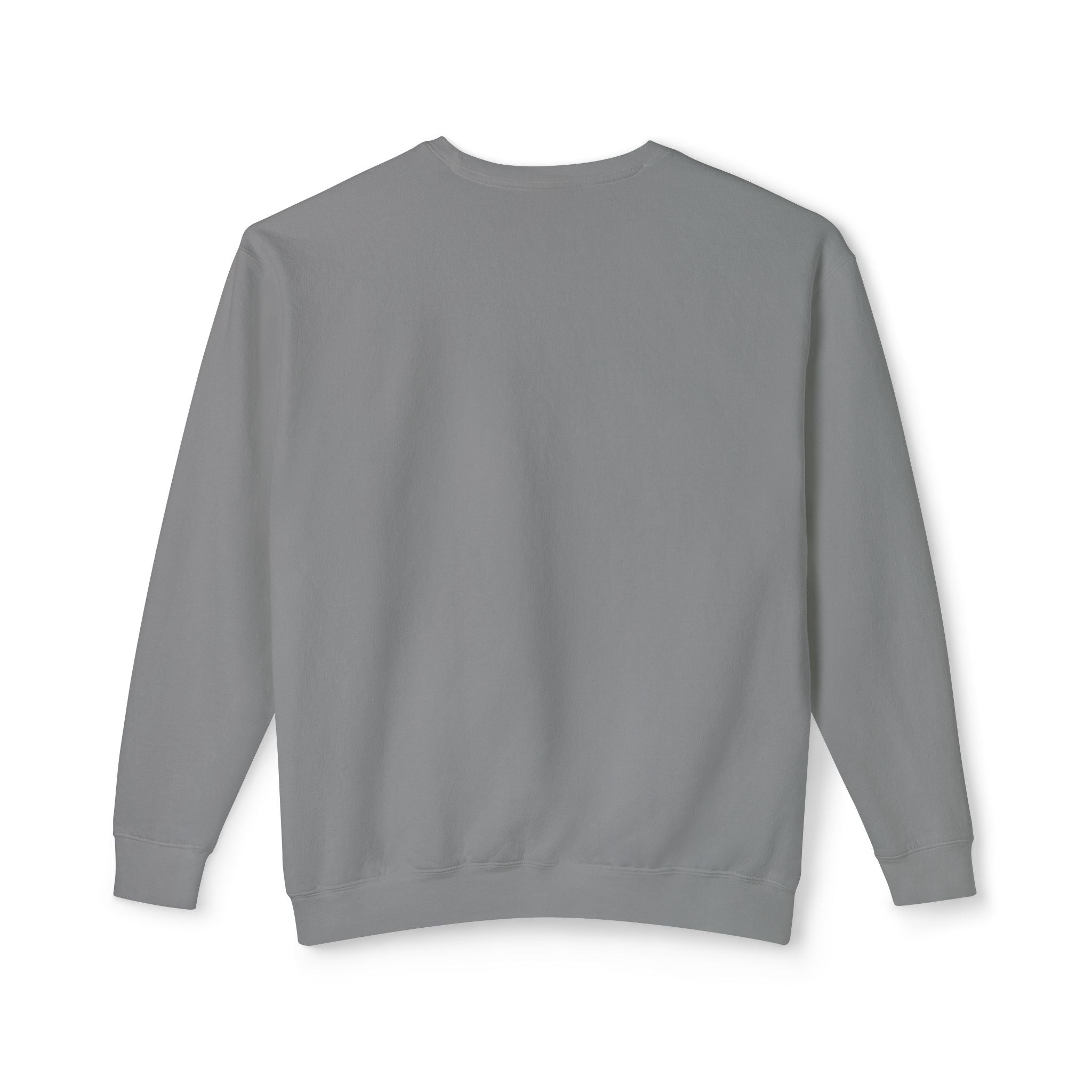Parrot Illustration Crewneck Sweatshirt