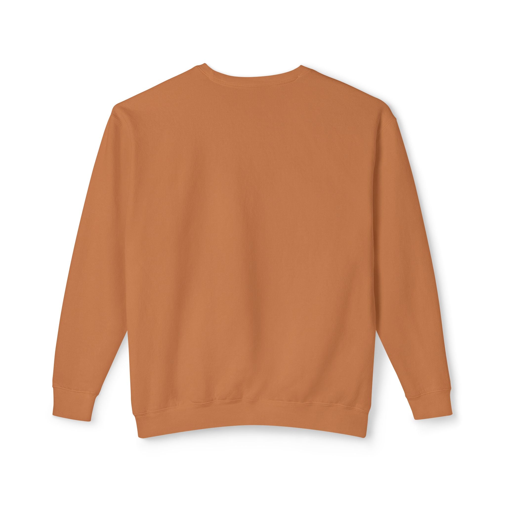 Parrot Illustration Crewneck Sweatshirt