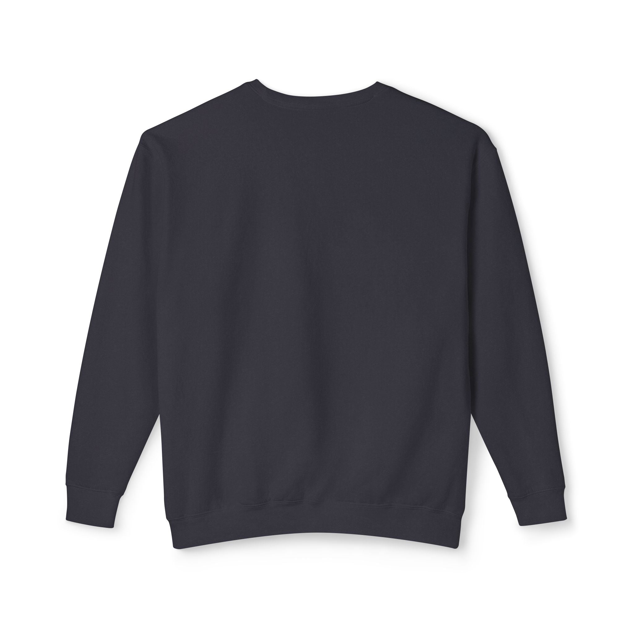 Parrot Illustration Crewneck Sweatshirt