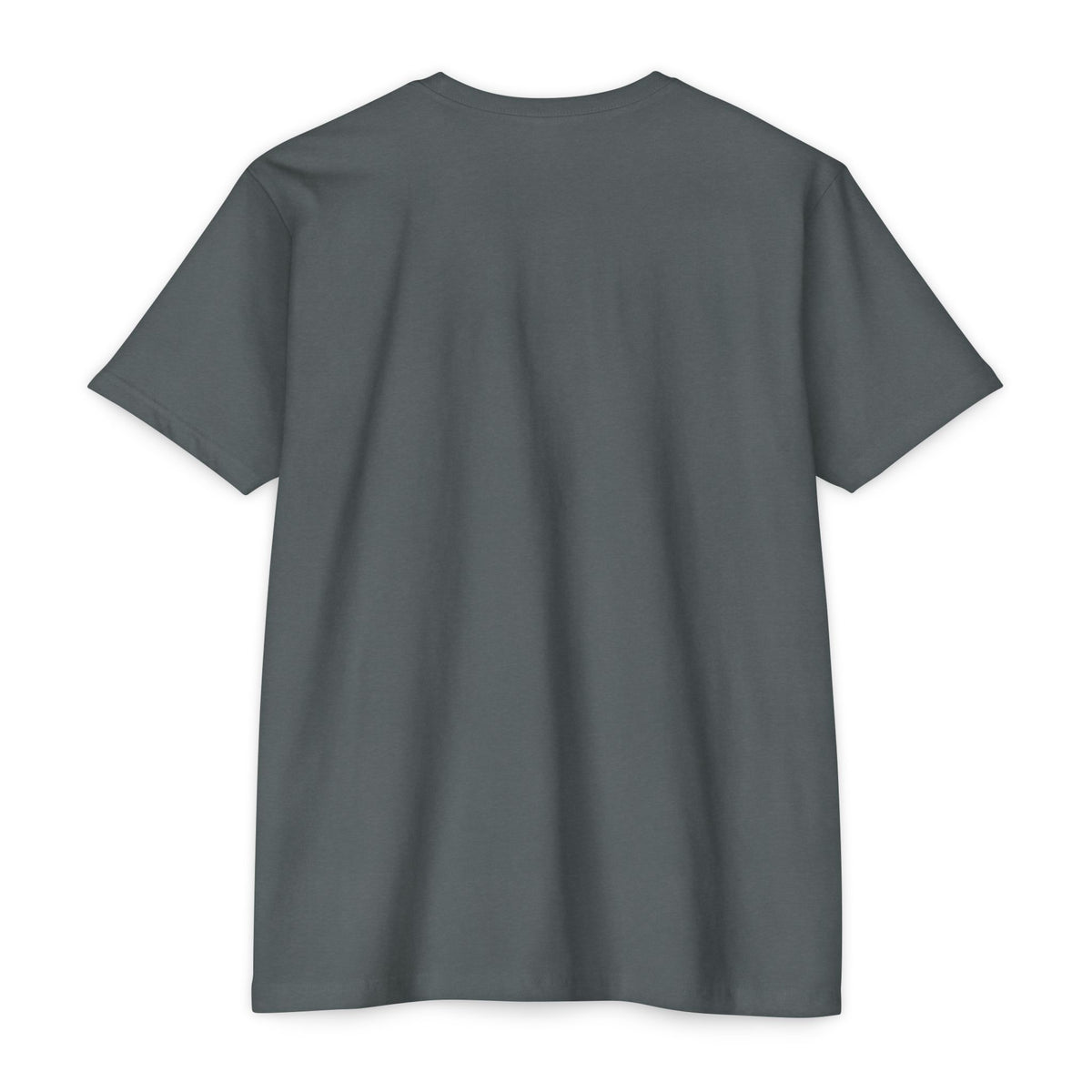 Green Cheek Conure Parrot T-Shirt — Vintage Tropical Bird Tee