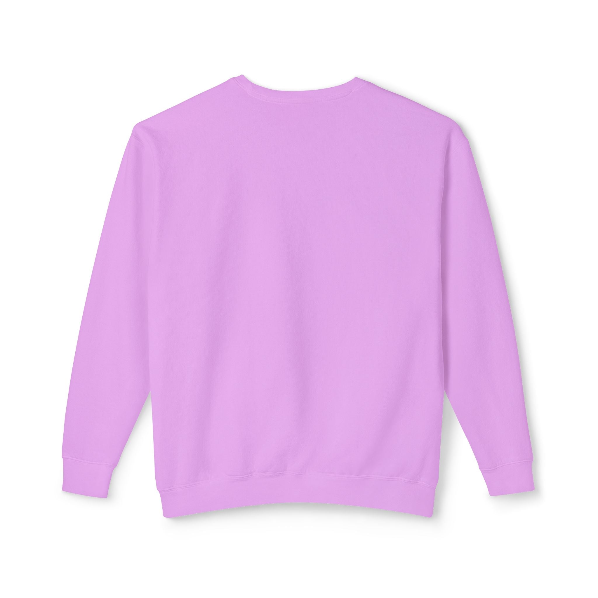 Parrot Illustration Crewneck Sweatshirt