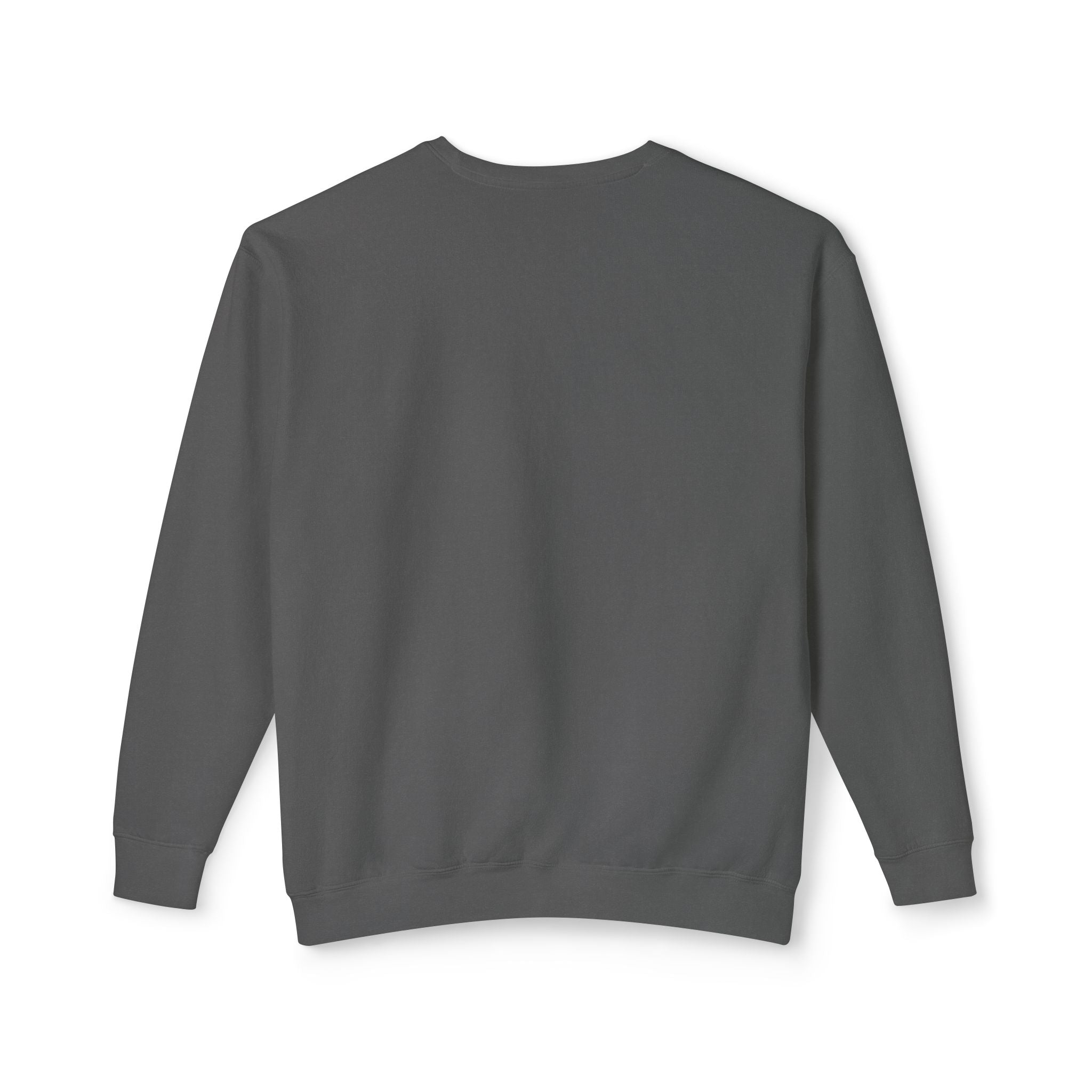 Parrot Illustration Crewneck Sweatshirt