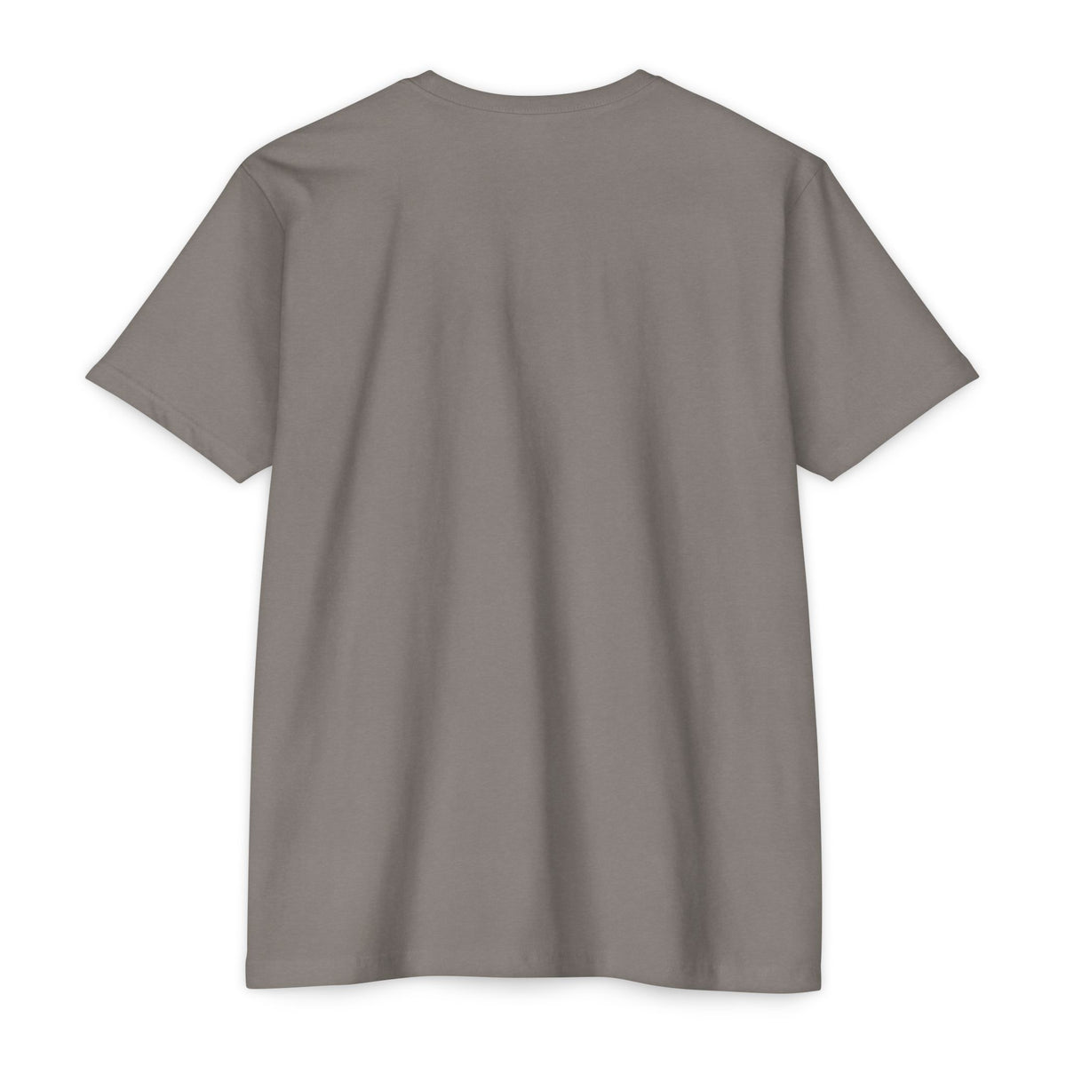 Green Cheek Conure Parrot T-Shirt — Vintage Tropical Bird Tee